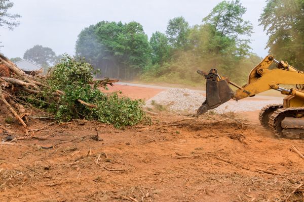 Ground Clearing in Montgomery
