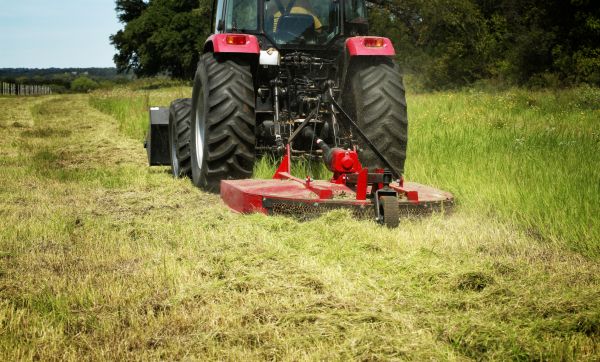 Brush Clearing Service in Montgomery