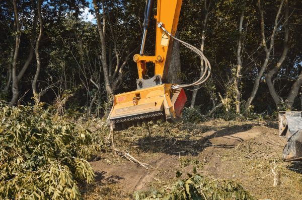 Brush Removal Service in Montgomery