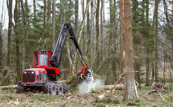 Cost of Forest Clearance Service in Montgomery