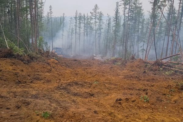 Cost of Hill Clearing in Montgomery